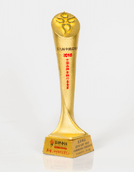 2016中国品牌金融行业金奖